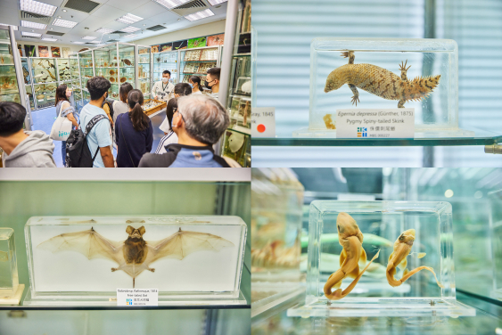 EXhibits at Faculty of Science